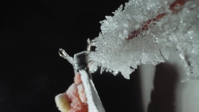 Hoarfrost coated metal clip and twig, macro detail of rime crystals clinging to wire clip, delicate glittering texture against dark background, intimate frozen stillness suggesting relic left