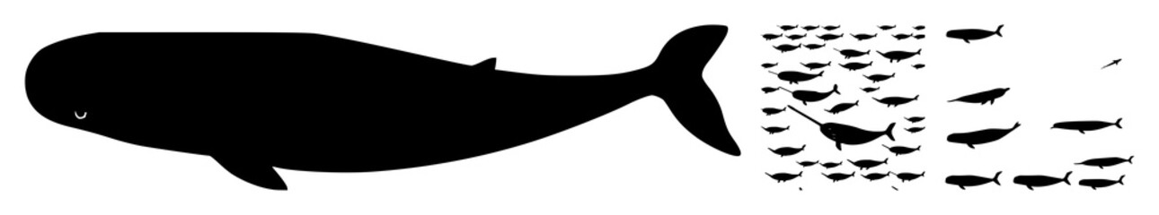 Narwhal silhouette set with simple line art design featuring simple design, minimalist, black and white with illustrations and graphics © MSTDIPTI