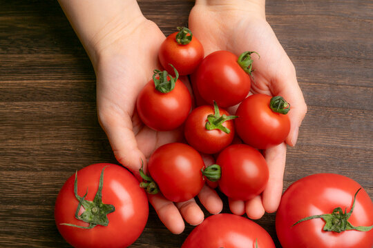 手の上のトマト　ミニトマト