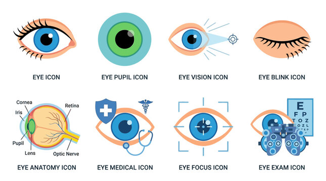 Vector illustrations of various eye icons and medical diagrams in a detailed visual representation
