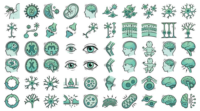 Neurology and Zika Virus Icons in Sketch Style. A collection of biology linear icons, including mosquito, brain, fetus, neuron, synapse, baby, microcephaly, nerve