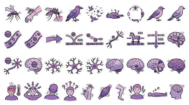West Nile Virus Medical Icon Set in Hand-drawn Style. A collection of Pathology Linear Icons, including mosquito, bird, brain, fever, headache, neuron, and more. Vector Illustration.