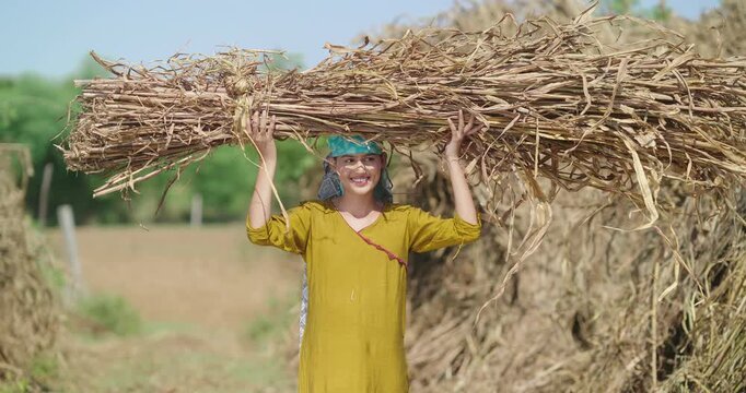 Indian young adult woman lady carrying dry grass straw on head look camera standing ground rural area. happy teen girl do farm field hard work hold wheat bunch bundle crop staring cam enjoy day place