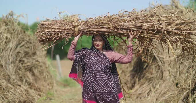 Indian mature adult farmer woman lady carrying dry grass on head standing look cam ground rural area. happy older female do farm field hard work hold wheat bunch bundle crop enjoy day place