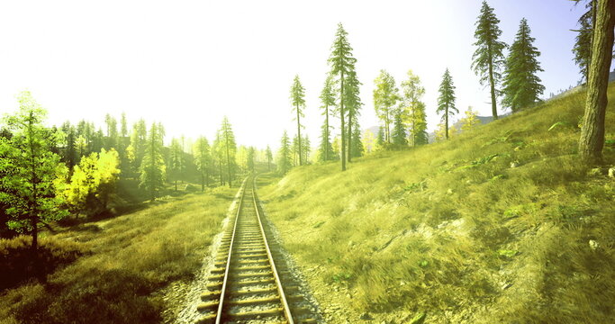 sunlit railway track through meadow leading toward pinestudded hill under warm golden sky, overgrown sleepers and rails, cinematic highkey light, nostalgic