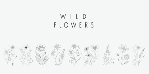 Obraz premium Minimalist botanical illustration featuring wildflowers with text overlay
