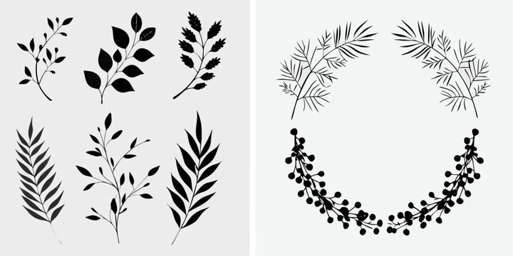 Black and white botanical illustrations of various leaf and branch arrangements