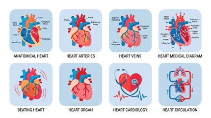 Fototapeta premium Vector illustrations of various medical heart diagrams and anatomical representations in a digital format for educational purposes.