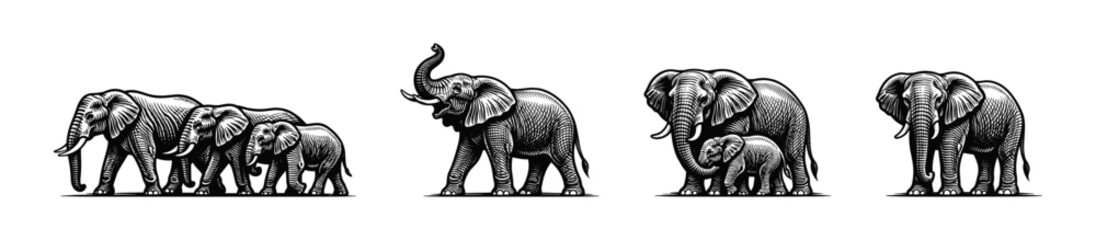 Fototapeta premium Black and white vector silhouettes of elephants with detailed line art illustrations