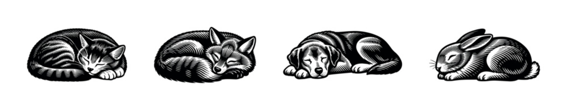 Black and white silhouette of sleeping animals including cat dog fox bunny illustration