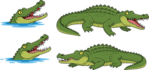 Fototapeta premium Crocodile collection with different poses swimming and resting wild reptile cartoon animal vector illustration set