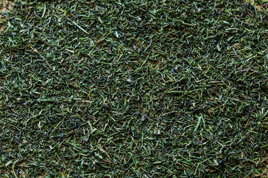 dried dill on the table