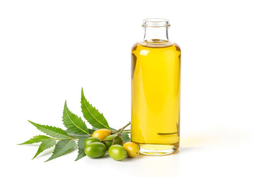 Transparent glass bottle filled with golden neem oil, elegantly displayed alongside fresh green neem leaves and ripe, vibrant green and yellow neem fruits, meticulously isolated on a clean white backg