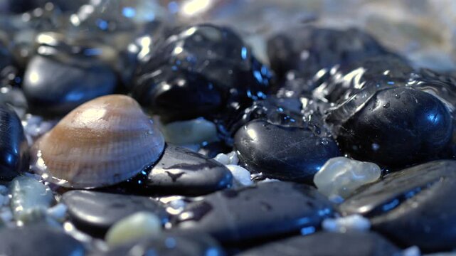 Close up of stones and seashells on a wet shore with water splashing in the background at the beach in the evening
