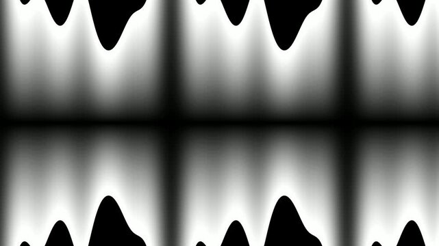 Abstract Black and White Reflection with Fluid Patterns
