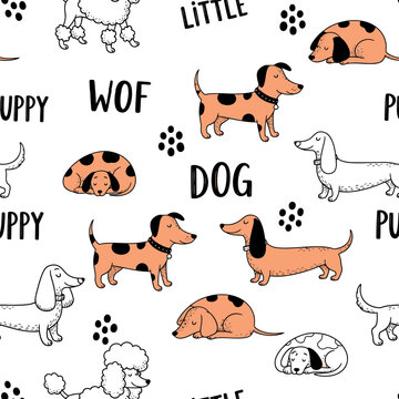 Hand drawn dog seamless pattern, cute puppy dachshund and poodle vector, nursery animal wallpaper