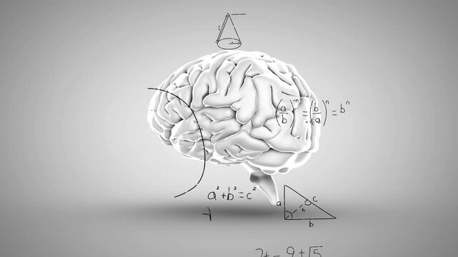 Animation of mathematical equations over spinning human brain icon against grey background