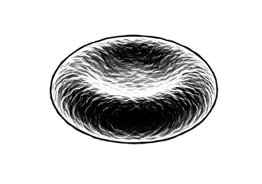 Detailed illustration of a single red blood cell with a biconcave shape