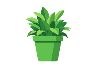 Obraz premium Green potted plant with lush leaves in a simple modern pot