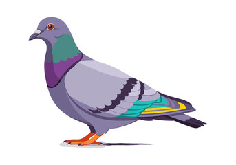 Fototapeta premium Stylized illustration of a city pigeon with iridescent neck feathers and colorful wing accents