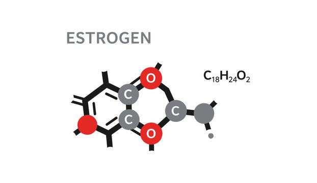 Estrogen (Estradiol) C18H24O2 molecular structure diagram with labels in minimalist style.