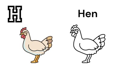 hen and chicken © Xano
