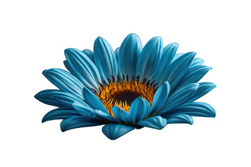 Obraz premium Blue daisy like flower with vibrant orange center, petals spreading outwards, botanical illustration, transparent background