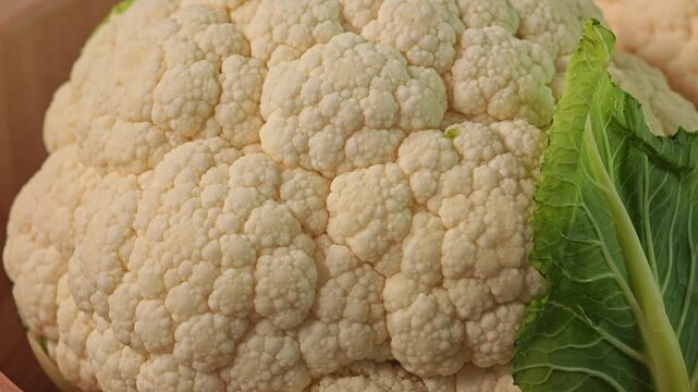 Fresh raw and uncooked cauliflower