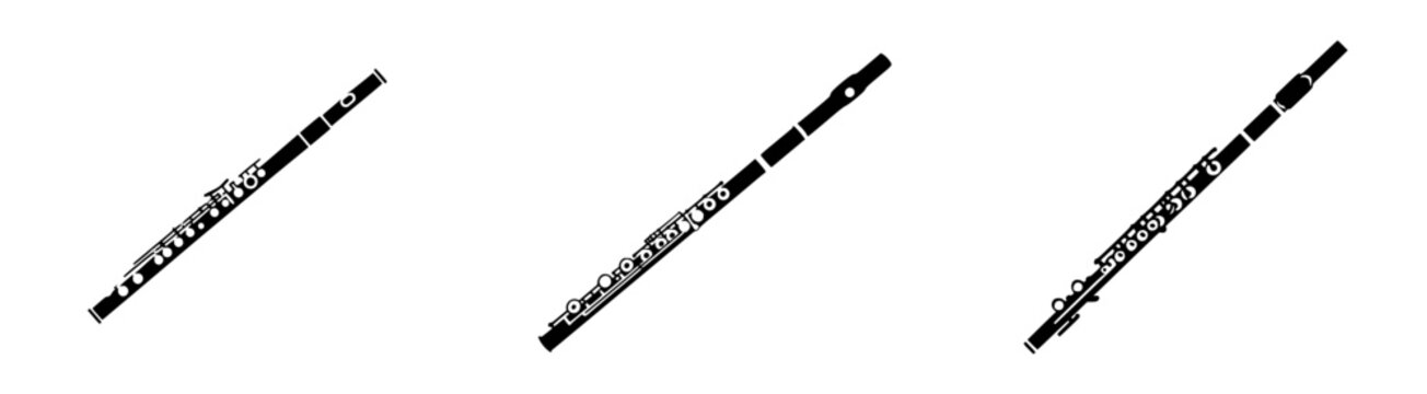 Melodic Muse: A Silver Flute's Elegant Silhouette