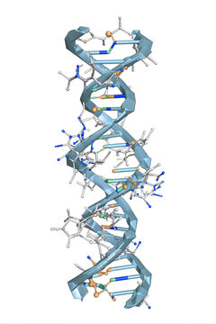 High-resolution structural model of a PNA-DNA heteroduplex
