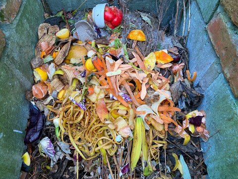 Organic kitchen waste in home compost pit for sustainability concepts