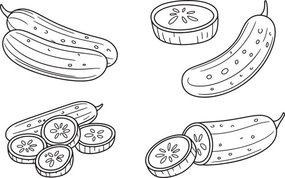 Fresh cucumbers and sliced gherkin rounds set in monochrome line art style for food menu design use. Vector illustration