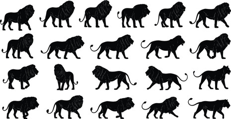 Black Lion Silhouette Vector Set with Male and Female Lions in Various Walking Standing and Prowling Poses for Wildlife Design © Hafiza