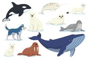 Flat set of arctic animals. Isolated polar animals on white background. © Nataliia