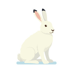 Fototapeta premium Vector illustration arctic hare whale in trendy flat style. Isolated on white.