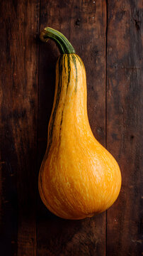 Butternut shaped yellow tromboncino squash with green stem on rustic wooden surface, warm natural light and cozy autumn mood