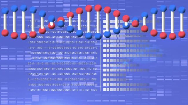 Animation of dna strand spinning over medical data processing