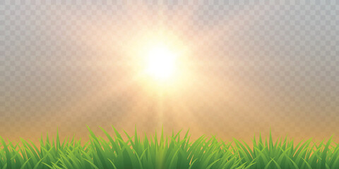 Fototapeta premium Illustration of green grass with sun.Summer background