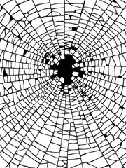 Obraz premium Abstract black and white vector illustration depicting a shattered glass effect with a central impact point, resembling a broken window or web pattern