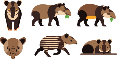 Fototapeta premium Tapir Cartoon Character Set with Different Poses Walking Eating and Resting Isolated on White Background for Wildlife Illustration and Exotic Animal Design