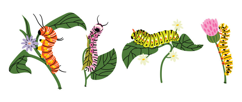 Set of flat caterpillar stickers in cute spring style. Colorful worms on leaves and flowers, playful nature collection. Bright  illustrations in trendy minimal style, aesthetic, perfect for stickers