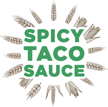 Spicy Taco Sauce Branding Logo