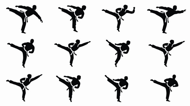 Dynamic silhouettes of martial artists performing high kicks in mid air during training or competition showcasing athletic movement