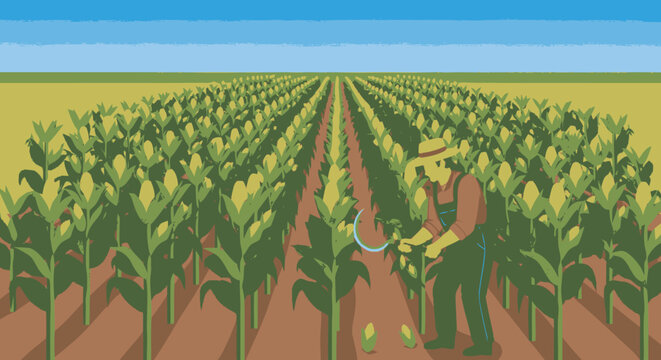 Farmer tending to crops in a vast cornfield.