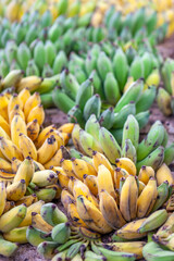 Fototapeta premium Bunches of green and yellow ripe bananas at an asian market in Siem Reap, Cambodia