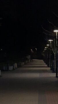 Night urban park walkway with benches and lamps. Empty path lined with benches and lamp posts, warm pools of light on pavement. Vertical video taken on mobile phone