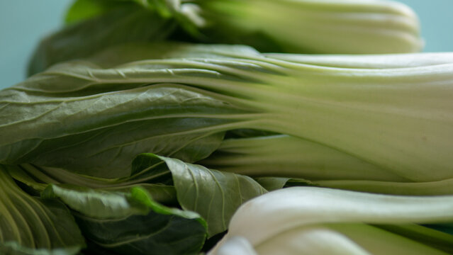 Fresh bok choy close up green leafy vegetable healthy food concept