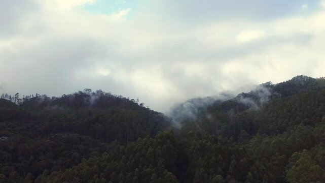 V&otilde;o sobre mata atl&acirc;ntica com neblina e nuvens