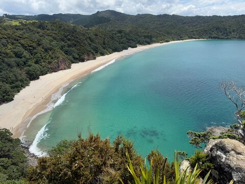 Aerial view of the secluded New Chums Beach with golden sand and native bush, New Zealand