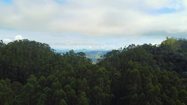 V&otilde;o sobre mata atl&acirc;ntica com neblina e nuvens - 4k